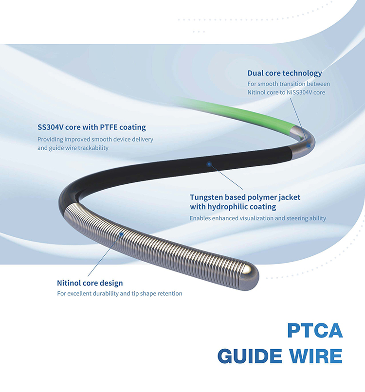 PTCA Guidewire (2)